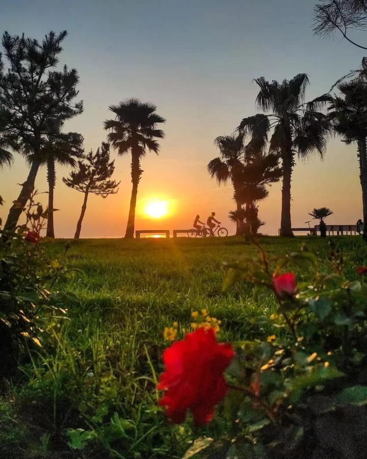 Batumi Luxury Resort & Sea View Aparthotel エクステリア 写真